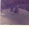 Nummer c1999