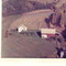 Nummer c2255