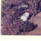 Nummer c2425