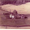 Nummer c243