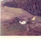 Nummer c2534
