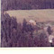 Nummer c3029
