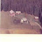 Nummer c3296