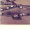 Nummer c3428