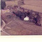 Nummer c3436
