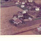 Nummer c3445