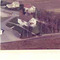 Nummer c3463