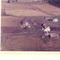 Nummer c3474