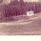 Nummer c849
