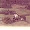 Nummer c890