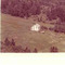 Nummer 3306