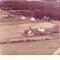 Nummer 4299