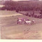 Nummer 4302