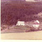 Nummer 4316