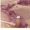 Nummer 4451