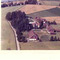 Nummer 5699
