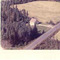 Nummer 5903