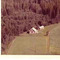 Nummer 3891