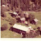Nummer 3996