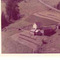 Nummer 4274