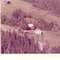 Nummer 4307