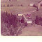Nummer 4542