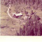 Nummer 4752