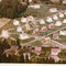 Nummer f1168
