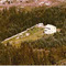 Nummer f1436