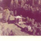 Nummer f2239