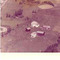 Nummer f2275
