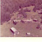 Nummer f2294