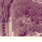 Nummer f2323