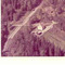 Nummer f2325