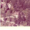 Nummer f2335