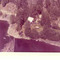 Nummer f2367