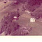Nummer f2399