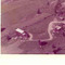 Nummer f2412