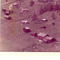Nummer f2417