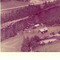 Nummer f2478