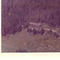 Nummer f3143