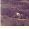 Nummer f3165
