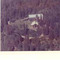 Nummer f3171