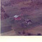 Nummer f3299