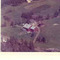 Nummer f3315