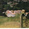 Nummer i1441
