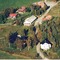 Nummer 1013039