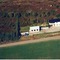 Nummer 1016034