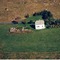 Nummer 1020015