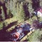 Nummer 1033034